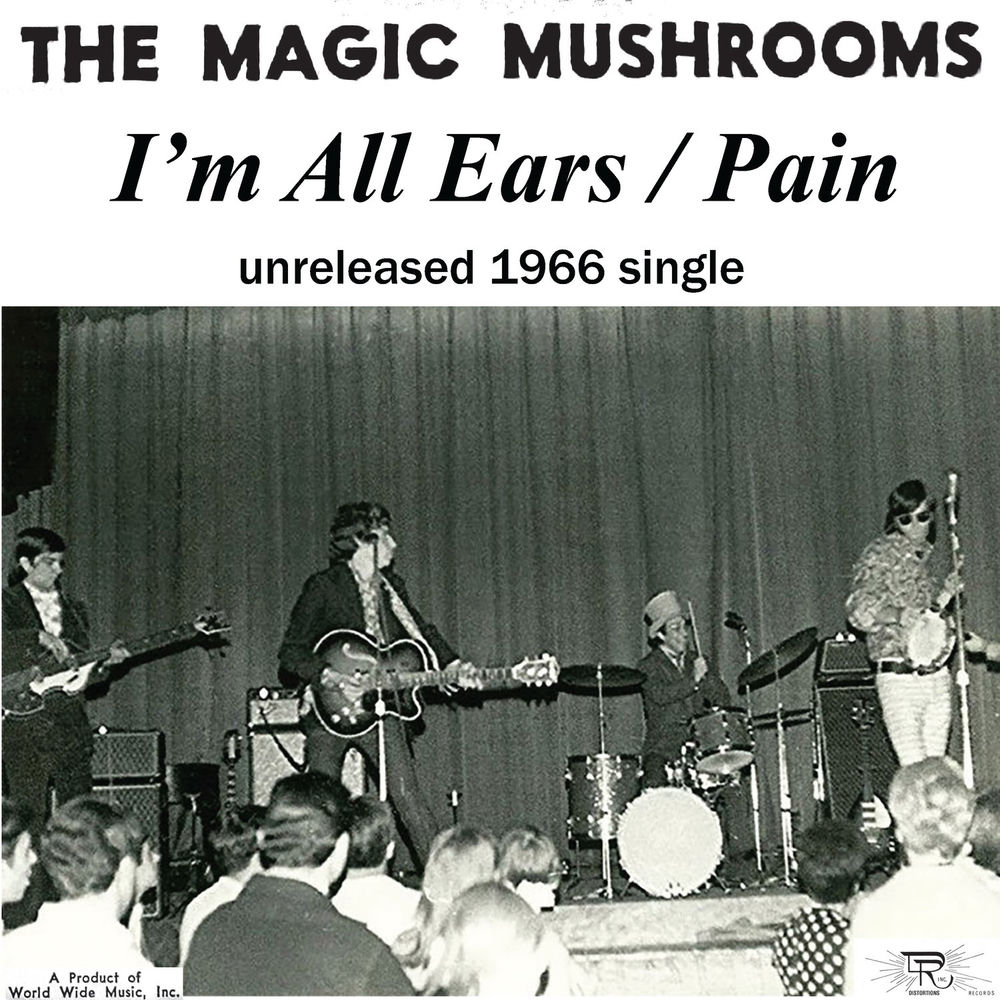 The Magic Mushrooms