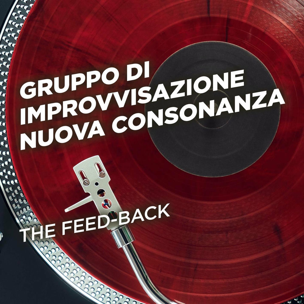 Gruppo di Improvvisazione Nuova Consonanza