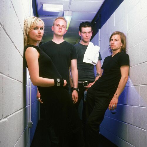 The Cardigans