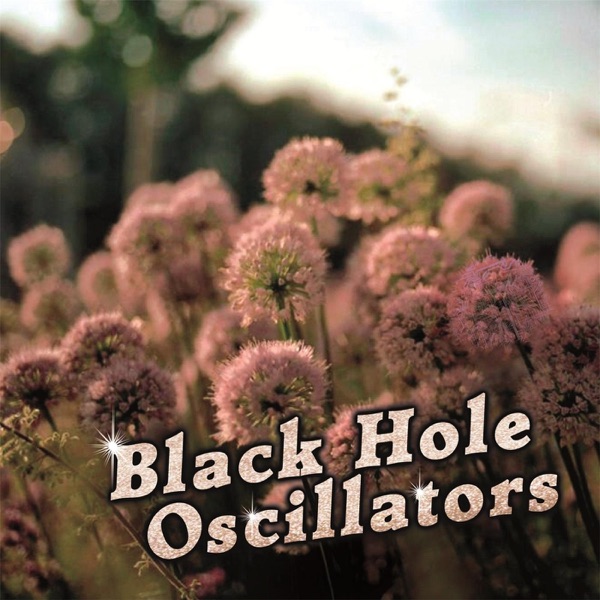 Black Hole Oscillators