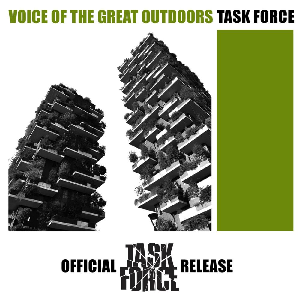 Task Force