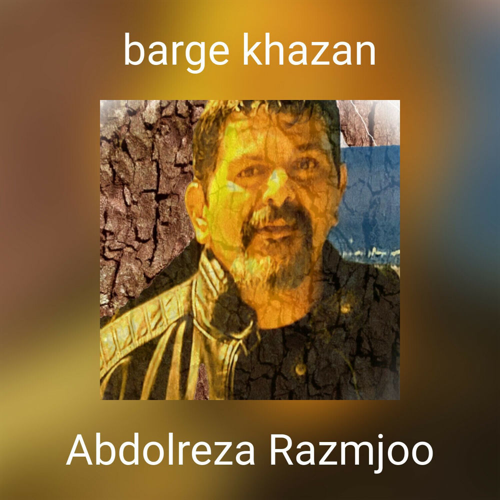 Abdolreza Razmjoo