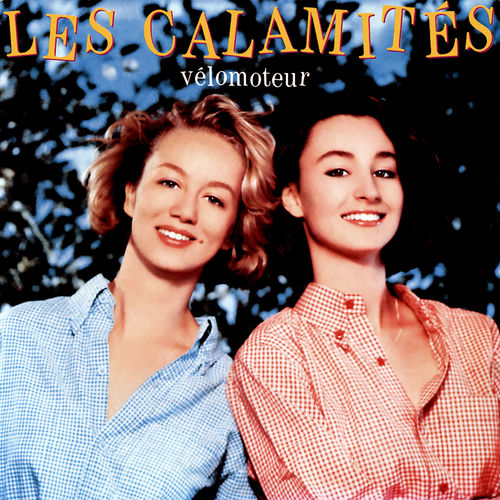 Les Calamites