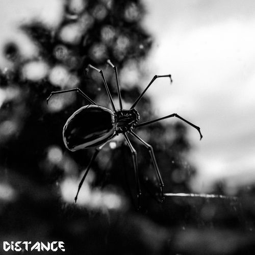 Distance