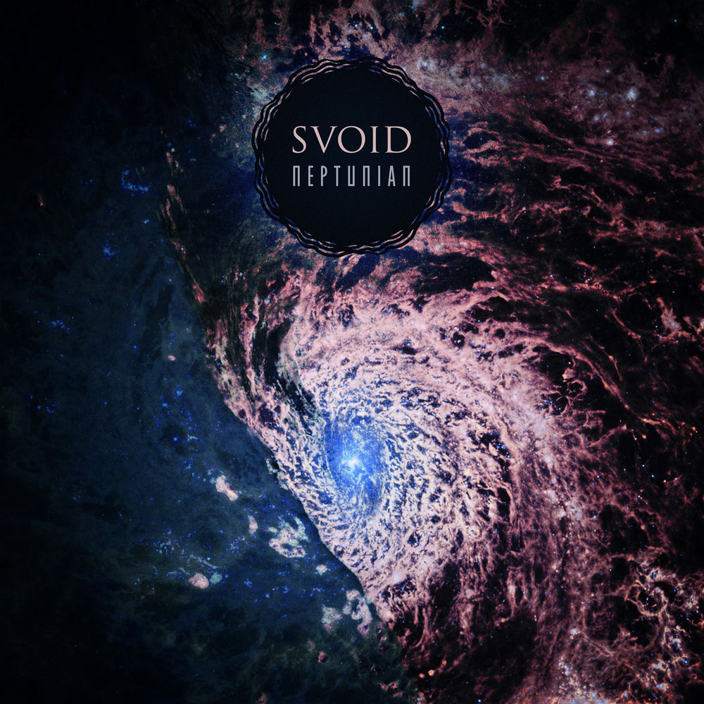 Svoid