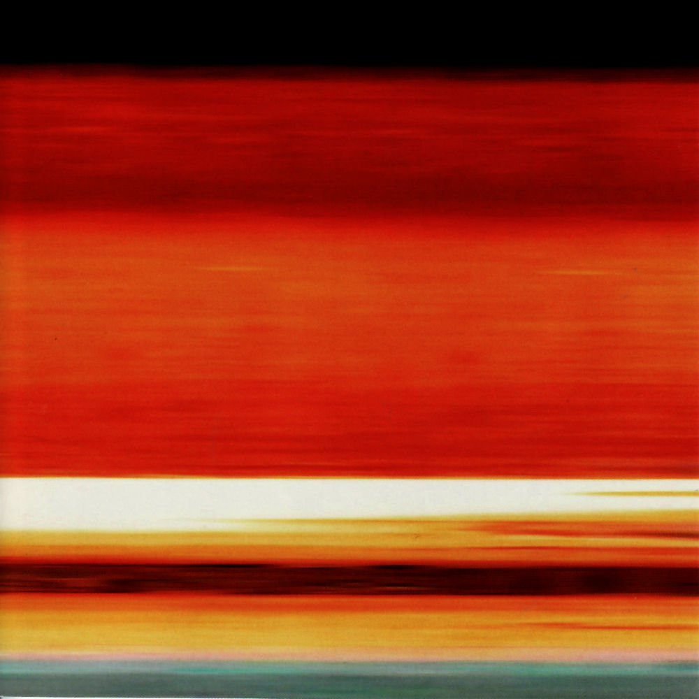 Birchville Cat Motel