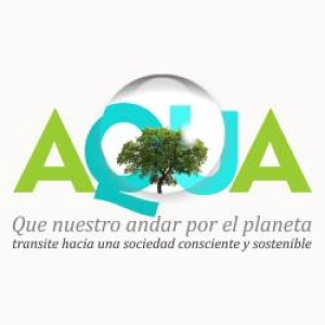 ¡Vive la experiencia fungi en la CDMX! Hongosto 2026. 985