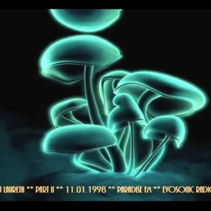DJ Laureth 11.01.1998 Paradise