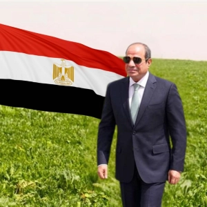 ما أهداف مشروع الدلتا الجديدة في مصر؟ وهل هي واقعية؟