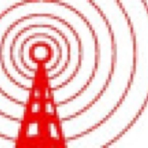 radioCona: Avtorstvo in vizualna umetnost - pogovor s pravniki in umetniki / Panel discussion with lawyers and artists about authors rights and visual arts, june 2008