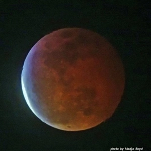 Reaching for the Moon - January 2019