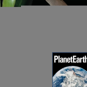 Brown water, bats and streetlights, plant methane - Planet Earth Podcast - 12.07.18