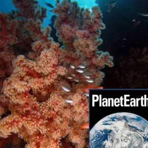 Cold water corals, meteorites, new greenhouse gases - Planet Earth Podcast - 12.05.23