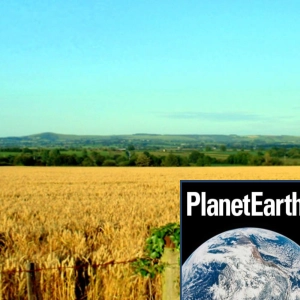 Energy crops, CryoSat-2 and bird bling - Planet Earth Podcast - 10.09.08