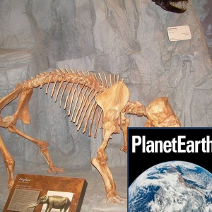 Air pollution, dwarf elephants and water footprints. - Planet Earth Podcast - 12.03.27