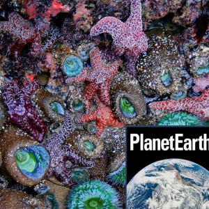 Rockpools and ocean acidification - Planet Earth Podcast - 10.09.23