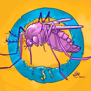 #115 Pra que existem os mosquitos?
