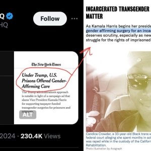 208 – The Trans Bourgeoisie