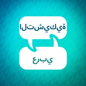 مسرع التعلم التشيكي