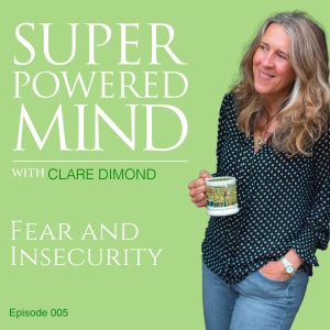 005 Fear and Insecurity
