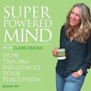 004 How Trauma Influences Your Perception