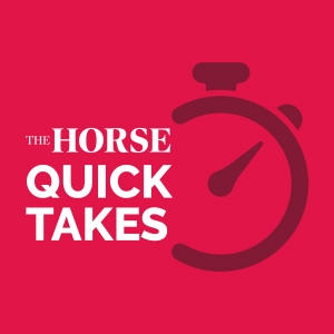 The Horse Quick Takes - Signs of Hindgut Problems in Horses