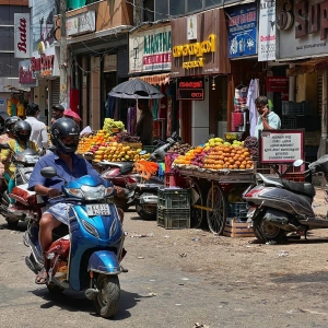 Can Democracy “Deliver the Goods”? Lessons from Kerala, India