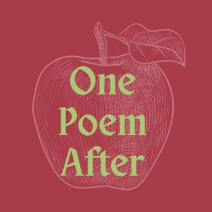 “Everywhere, a surround of mirror glass blue” by Kay Medway after Amy Laessle-Morgan | One Poem After