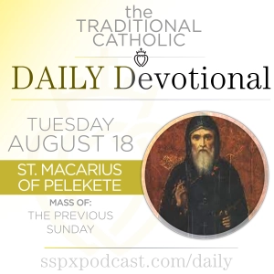 Aug 18 – Feria / S Macarius of Pelekete
