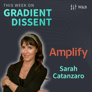 Sarah Catanzaro — Remembering the Lessons of the Last AI Renaissance