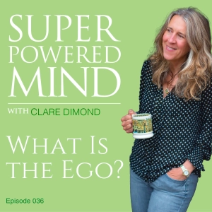 036 What is the Ego?