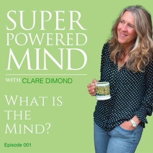 001 What is the Mind?