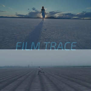 Tree of Life (2011) and The Master (2012)