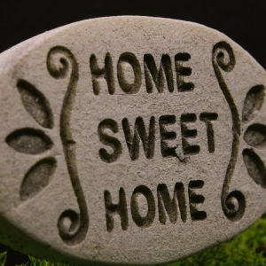 Nesterly and Village Connections - Helping Seniors Age Well at Home