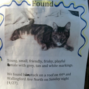Re:sound #239 The Stupid Pet Tricks Show