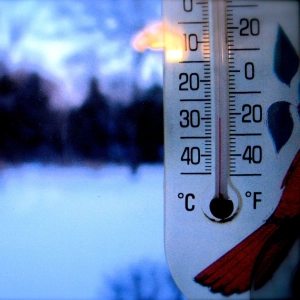 Re:sound #223 The Cold Show