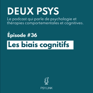 #36 Les biais cognitifs