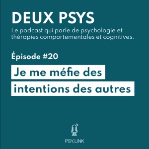 #20 Je me méfie des intentions des autres - Schémas