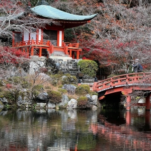 ¿Qué hará Japón por nosotros?