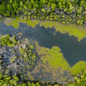 Activities for Raising Climate Awareness with Harry Waters