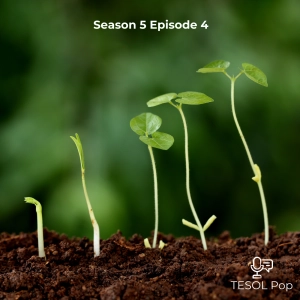 S5E4: Teaching Beginner-Level Learners with Julie Chen