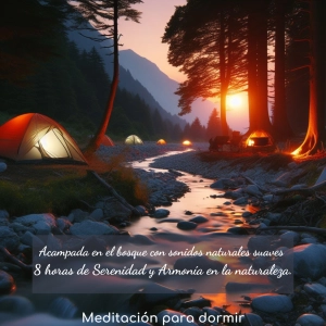 84. Relajación Guiada y Acampada en el bosque con sonidos naturales suaves | 8 horas de Serenidad y Armonía en la naturaleza