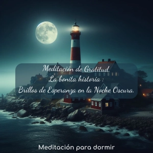 80. Meditación de Gratitud y la bonita historia "Brillos de esperanza en la noche oscura"