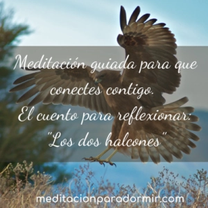 53. Meditación guiada para dormir profundamente y el cuento para reflexionar “Los dos halcones”