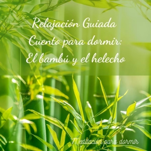 29. Meditación guiada para dormir - Sueño profundo y reparador con un cuento El bambú y el helecho