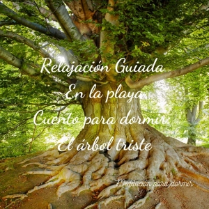 23 Relajación Guiada para dormir profundamente, sonido ambiente de Playa y Cuento El árbol triste