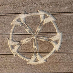 Have You Ever SEEN a Crop Circle?