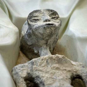 The Mystery of the Tridactyl Peruvian Mummies