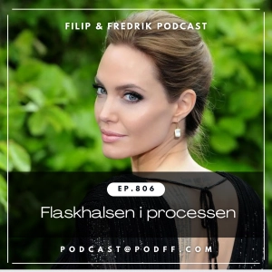 806. Flaskhalsen i processen