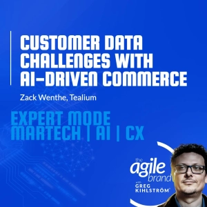 Tealium's Zack Wenthe on the hidden challenge of AI-driven commerce